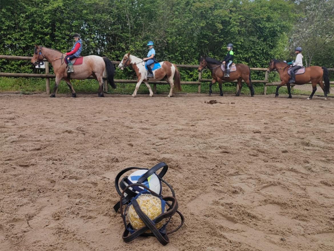 pony ball
