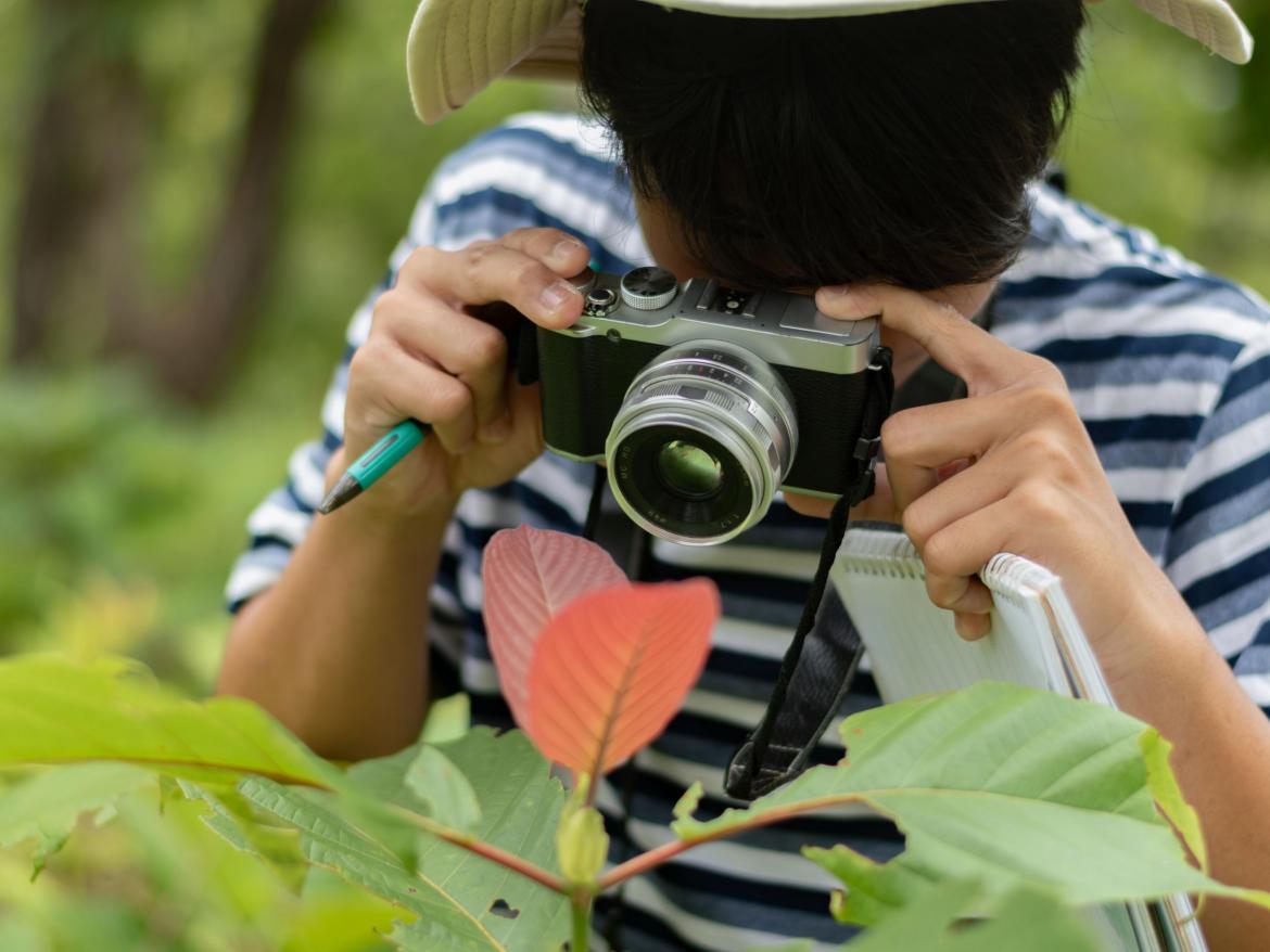 enfant prenant une photo d'une feuille dans la nature