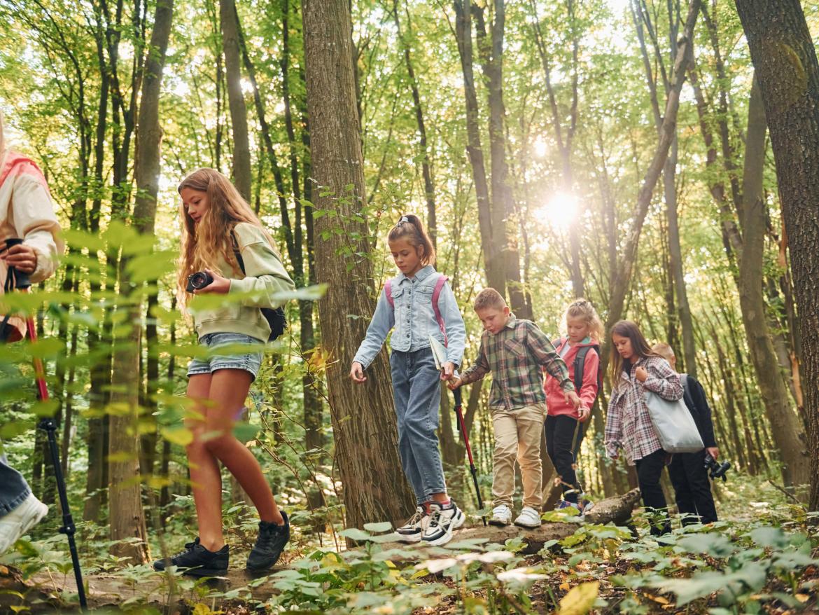 groupe d'enfants marchand dans la foret