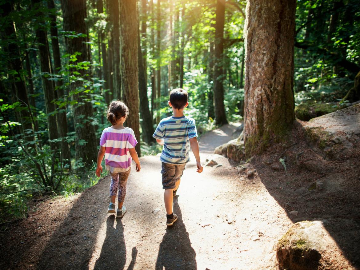 deux enfants marchand daaans une forêt traversée par les rayons du soleil