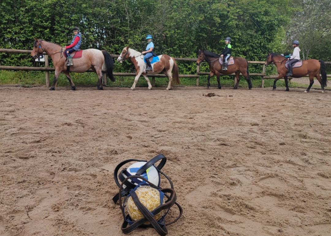 pony ball