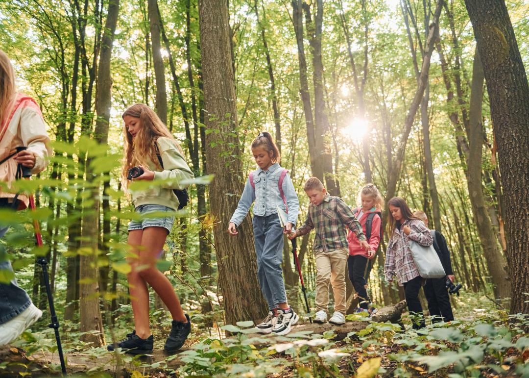 groupe d'enfants marchand dans la foret